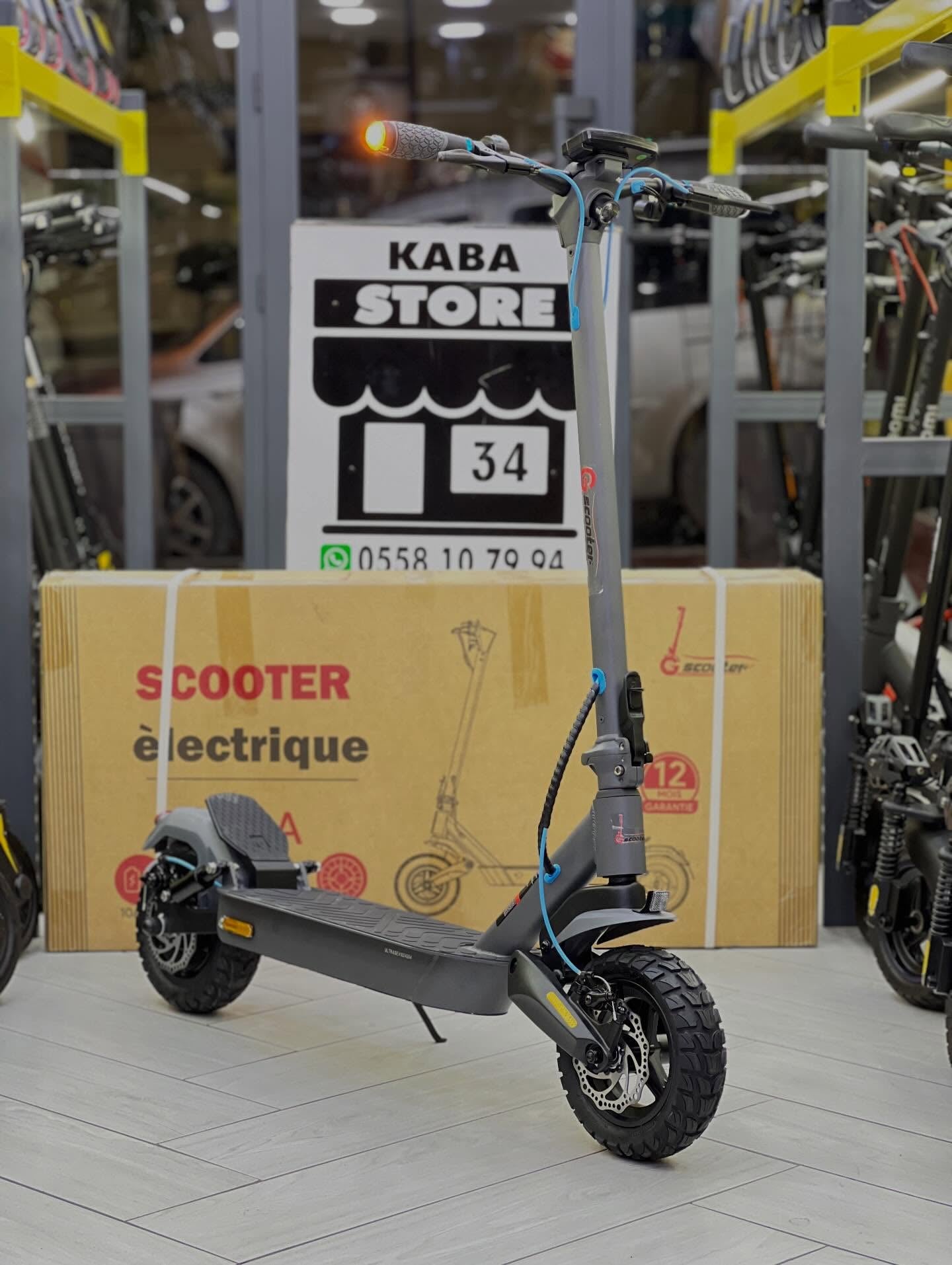 Buy electric scooter online g4